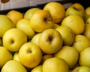 "Голодающие" россияне раздавили 11 тонн польских яблок