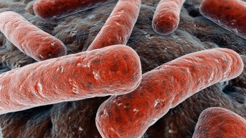 Гуляющий эффект антибиотиков объяснили самостью бактерий