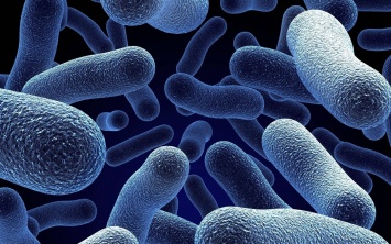 Ученые объяснили гуляющий эффект антибиотиков самостью бактерий