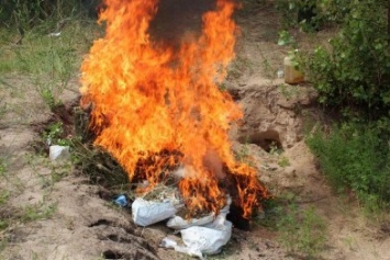 В Славянске сожгли наркотики на сумму 300 тысяч гривен