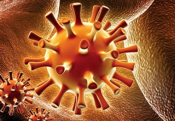 Биологи научились уничтожать вирус герпеса в организме