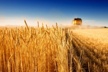 Турецкие инвесторы готовы вложить в аграрную отрасль Донецкой области 20 миллионов долларов