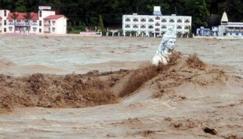 На севере Индии в результате ливней и обрушения зданий погибли 34 человека