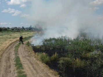 За сутки в Херсонской области произошли 8 пожаров