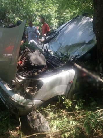 Машина в Хмельницкой области въехала в дерево, трое человек погибли