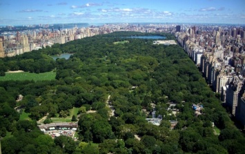 СМИ: В Нью-Йорке в Центральном парке прогремел взрыв