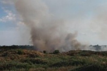 На стихийной свалке в Николаеве снова произошел пожар (ФОТО)