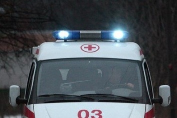 В Запорожье на Великом Лугу авто врезалось в дерево: пять пострадавших