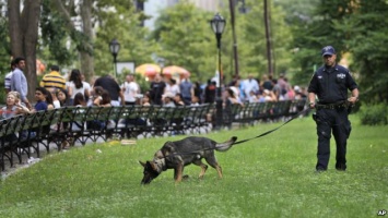 Самодельное взрывное устройство ранило парня в Центральном парке Нью-Йорка