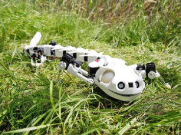 Ученые с помощью 3D-принтера создали робота-саламандру