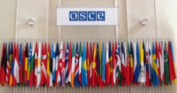 В проекте резолюции ОБСЕ по Крыму подтверждаются пытки и нарушения прав человека? Тарас Загородний