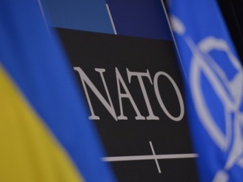 Перспектив вступления Украины в НАТО практически нет - И.Смешко