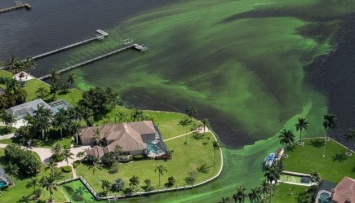 В южной Флориде ввели чрезвычайное положение из-за токсичных водорослей
