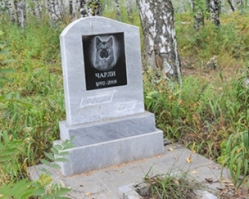 Так дешевле: в России людей хоронят на кладбищах для животных