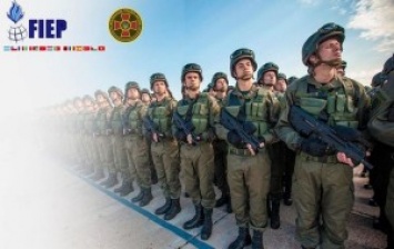 Национальная гвардия Украины получит статус наблюдателя в Ассоциации сил жандармерии и полиции стран Европы