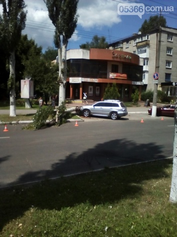 В Кременчуге старый тополь упал на припаркованный автомобиль (ФОТО)