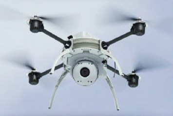 Новая программа заставит дронов летать подобно насекомым и попугаям