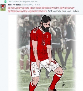 Борода звездного игрока сборной Уэльса завела аккаунт в Twitter