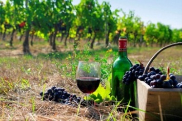 Украинские виноделы не смогли принять участие в международном конкурсе вин и коньяков в Ялте из-за угроз - директор «Магарача»