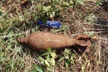 Житель Полтавщины обнаружил дома мину