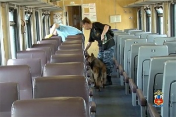В поезде жительницей Хабаровского края выброшен младенец