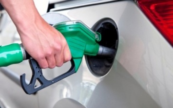 Управление ФАС Мурманской области провело мониторинг цен на бензин