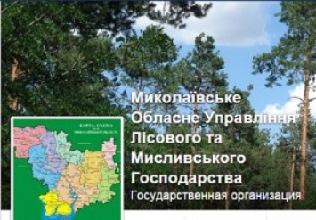 За незаконные рубки уволен директор "Владимировского лесхоза" в Николаевской области