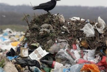 Киев сокращает прием львовского мусора