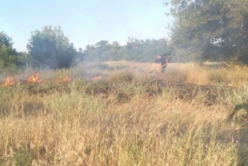 Вчера на Херсонщине тушили 14 пожаров