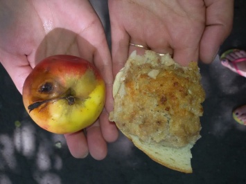 Гнилое яблоко и сомнительная котлета: в соцсети показали, чем кормят детей в садиках