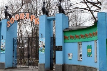 На реконструкцию харьковского зоопарка выделили столько же, сколько на образование