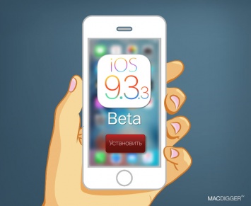 Apple выпустила iOS 9.3.3 beta 5 для iPhone и iPad