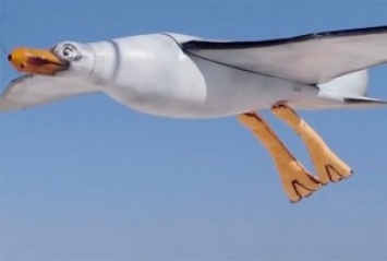Рекламная чайка-робот от Nivea будет гадить на пляжников солнцезащитным кремом
