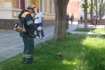 Власти Симферополя рассказали, где в городе будут косить траву в июле