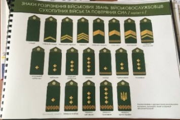 Украинская армия показала новые знаки различия
