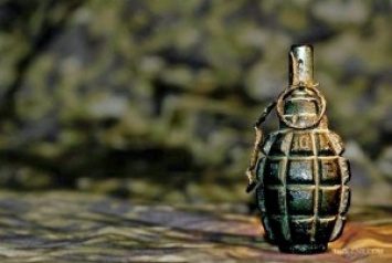 В ОБСЕ подтвердили гибель детей от взрыва гранаты в Енакиево