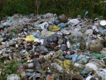 Комиссия по чрезвычайным ситуациям выедет на мусорную свалку