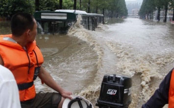 Сотня аллигаторов плавает по затопленным улицам городов в Китае