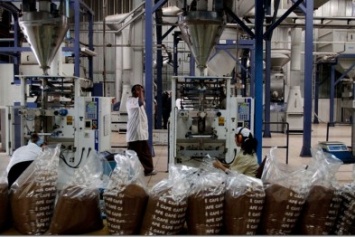 Инвестор хочет построить в Севастополе фабрику по фасовке кубинского кофе, - вице-губернатор