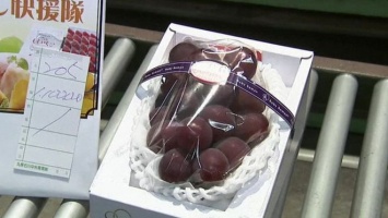В Японии гроздь винограда продана на аукционе за 11 тыс. долларов