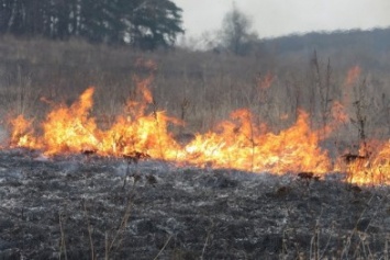 В этом году на пожарах в Мариуполе погибли 12 человек