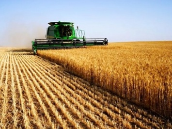 Сельское хозяйство насчитывает более 10% ВВП Украины