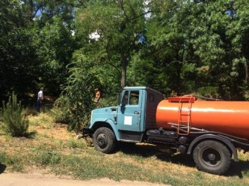 Для сохранения зеленых насаждений в Одессе регулярно выполняется полив деревьев