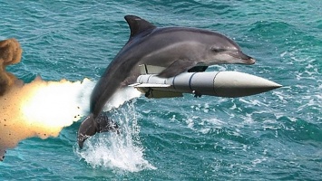 Губернатор Севастополя не выдал иностранным журналистам тайну о боевых дельфинах