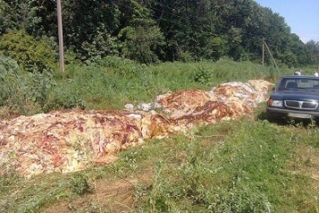Водитель устроил в Черниговской области свалку «колбасных» отходов