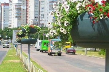 На двух улицах Чернигова появились вертикальные клумбы за 900 гривен