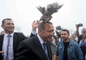 Что стоит за «капитуляцией» Эрдогана. Почему и где президент Турции ищет новых союзников
