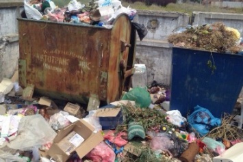 Город под Одессой утопает в мусоре (ФОТОФАКТ)