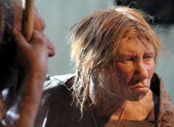 Исследование: Неандертальцы были склонны к каннибализму
