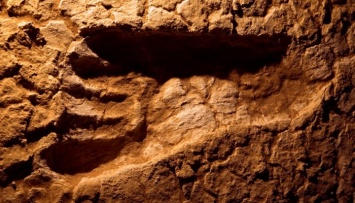 В Танзании обнаружены следы древнейшего человека-гуманоида
